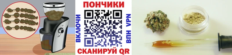 Canna-Cookies конопля  Купить где  Себеж 
