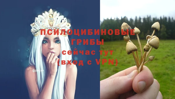наркотики Краснослободск