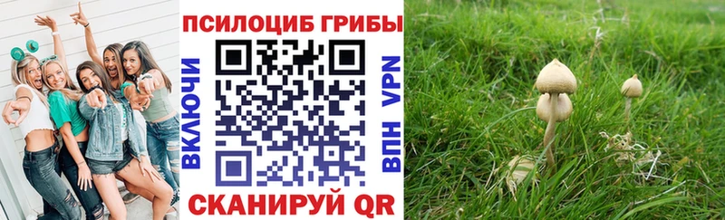 Псилоцибиновые грибы мицелий  Купить где  Себеж 