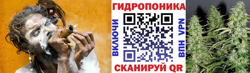 Купить где  Себеж  МАРИХУАНА сатива 